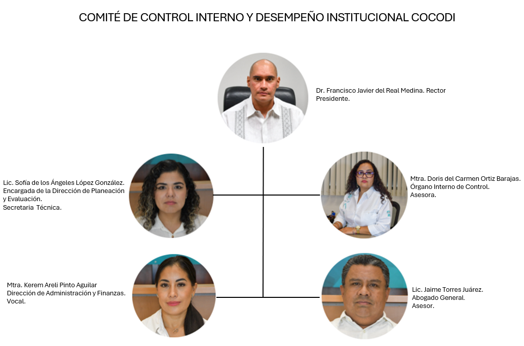 Integrantes del COCODI